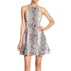 Elizabeth AND James Snakeskin Clarissa Dress